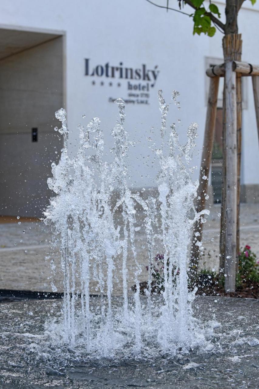 Lotrinsky Hotel Velke Pavlovice Bagian luar foto